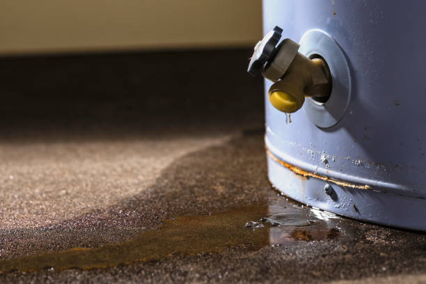 Best Carpet water damage restoration  in Port Ludlow, WA