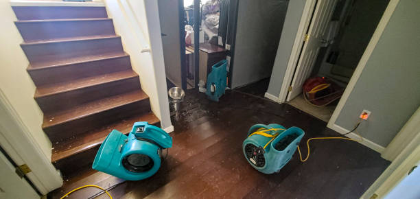 Best Commercial water damage restoration  in Port Ludlow, WA