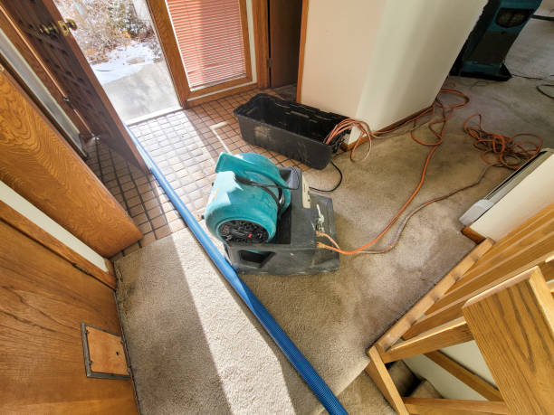 Best Fire Damage Restoration  in Port Ludlow, WA