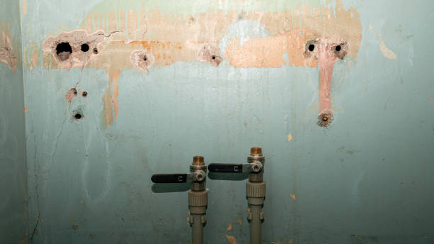 Best Emergency water damage restoration  in Port Ludlow, WA