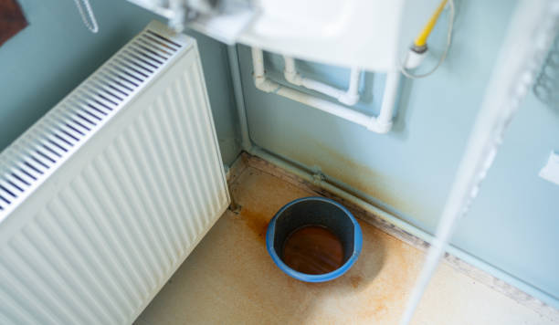 Best Ceiling water damage repair  in Port Ludlow, WA
