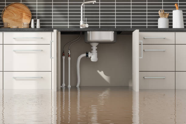 Trusted Port Ludlow, WA Water damage restoration Experts