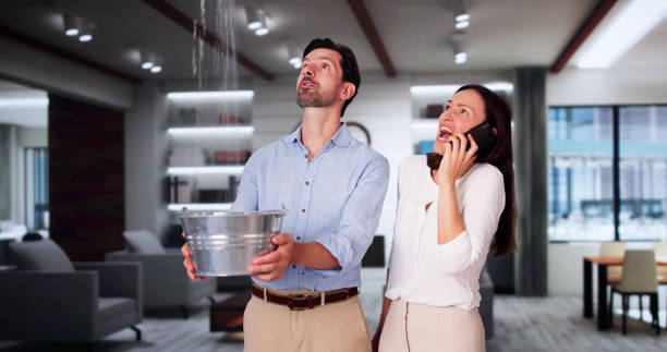 Best Water damage mitigation services  in Port Ludlow, WA