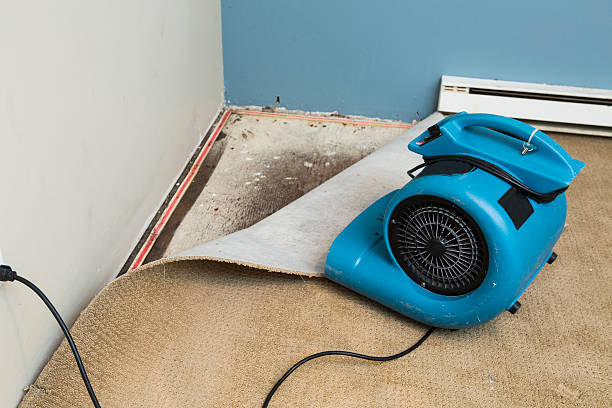 Best Sewage cleanup and water damage restoration  in Port Ludlow, WA
